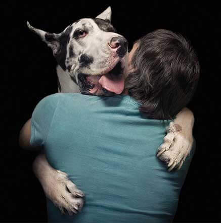 fare sentire al sicuro il cane