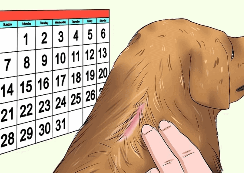 pulire ferita - ricordare