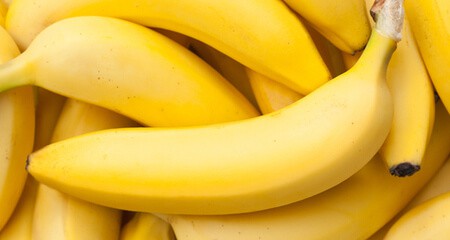 banane alimentazione salutare cane gatto