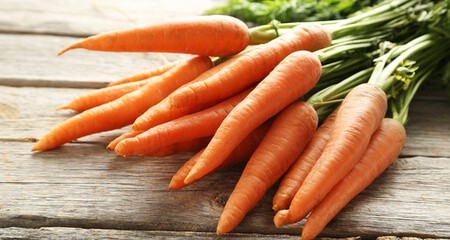 carote alimentazione salutare cane gatto