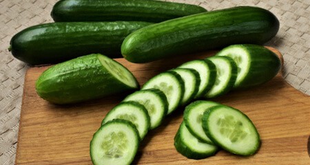 cetriolo alimentazione salutare cane gatto