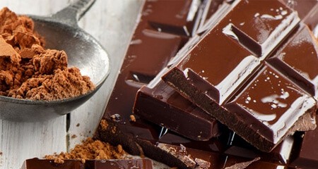 cioccolato sostanza tossica e nociva per cani e gatti