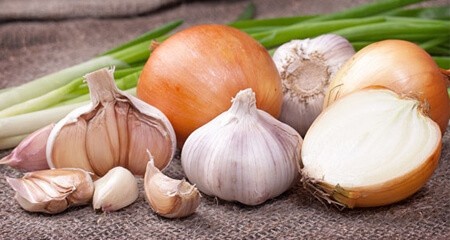 aglio-cipolla-tossica-cani-gatti