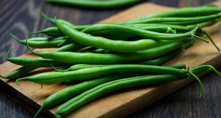 fagioli verdi alimentazione salutare cane gatto