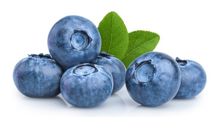 mirtillo alimentazione salutare cane gatto