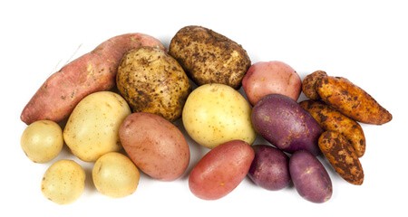 patate dolci alimentazione salutare cane gatto