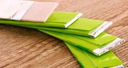 xilotolo-dannoso-e-nocivo-per-cani-gatti