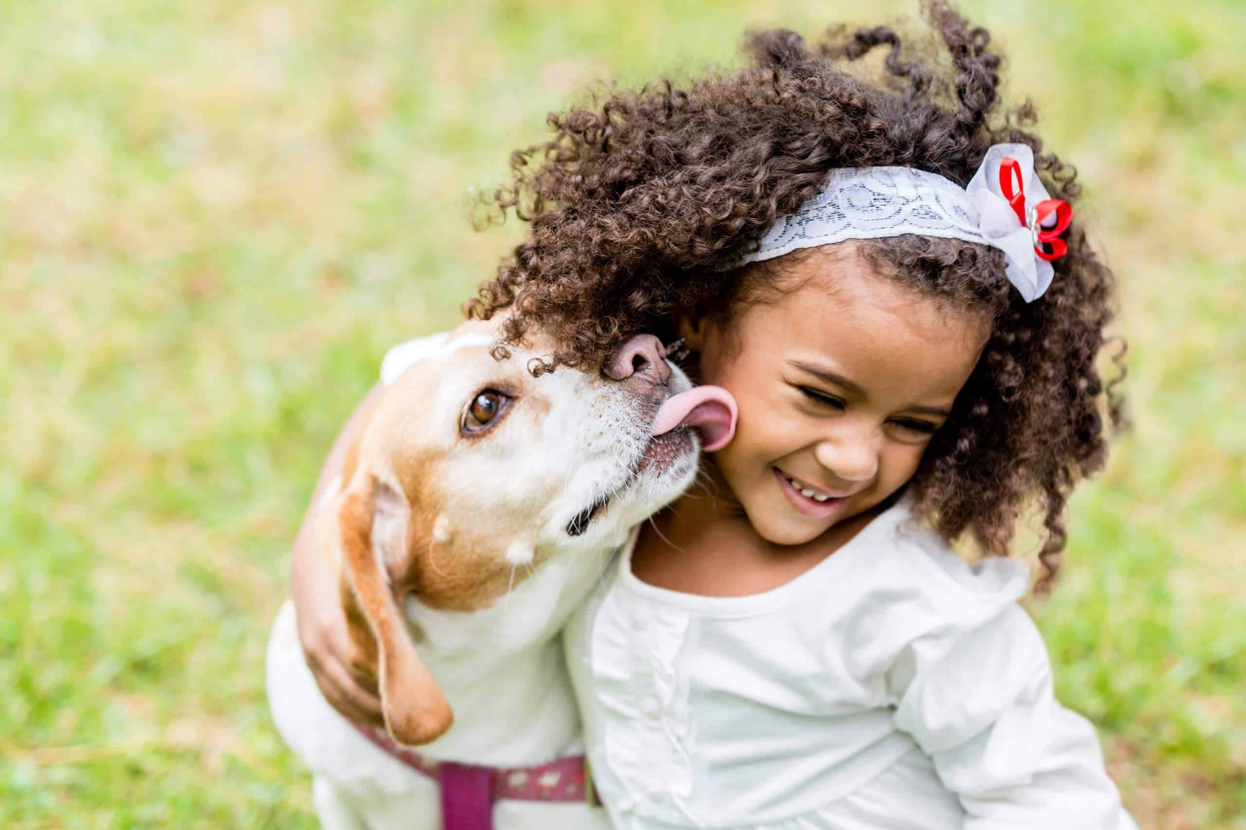 cane e bambini - cane morde