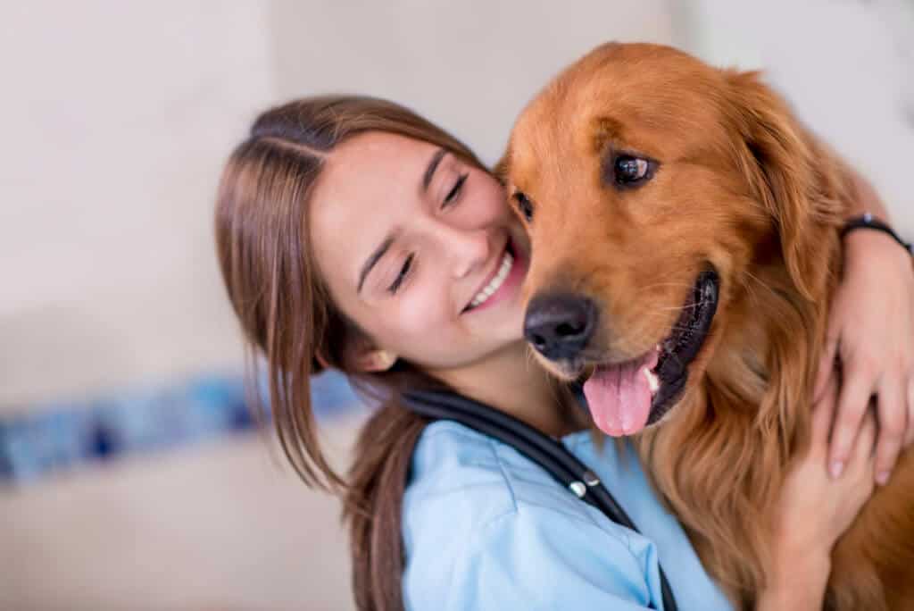 marketing medico veterinario
