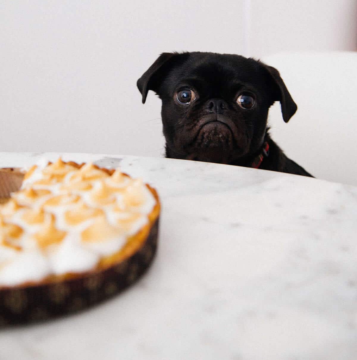 ingestione-di-sostanze-tossiche-alimentari