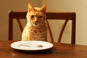 ipertiroidismo e tiroide - causa cura e prevenzione