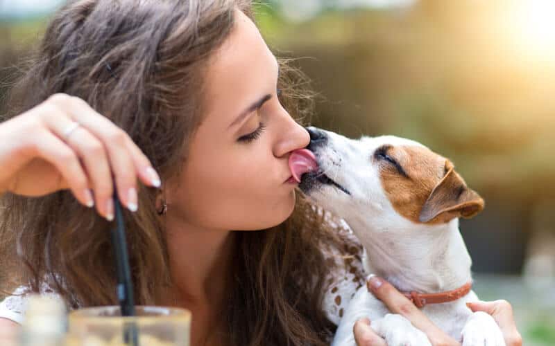 perche i cani leccano