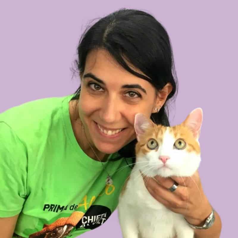 silvia rum veterinario